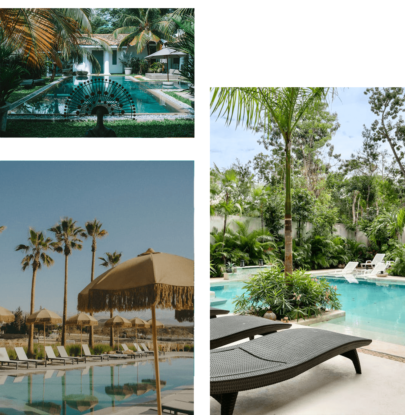 Piscine privée de luxe avec transats et parasols dans un jardin tropical au Maroc